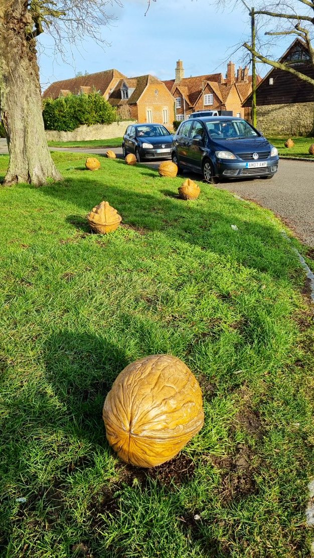 walnut bollards